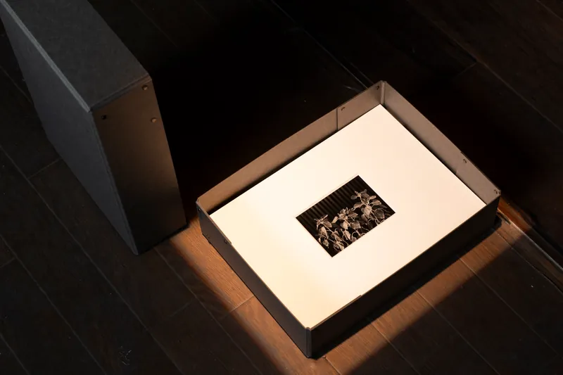 the Meeting Point 展示風景 4